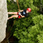 Above the treeline in New River Gorge