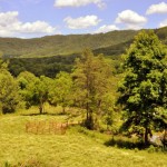 Laurel Ridge near Fayetteville