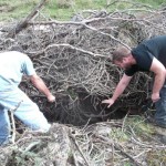Clearing brush from cave entrance