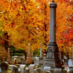 Fall at Greenwood in Wheeling