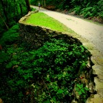 Rock walls along the Carriage Trail
