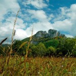 Seneca Rocks from North Fork pasture