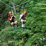 Dual lines through New River Gorge canopy