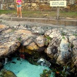 Bather at Lord Fairfax Spring