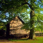 Barn at Jackson's Mill