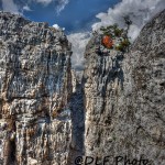 Crag on North Fork Mountain