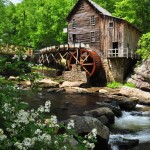 Early Summer at Babcock Mill