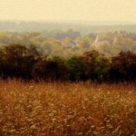 Field near New Manchester