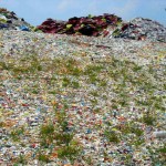 Hill of dinnerware at Newell