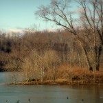 Wells Island near Sistersville