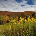 Autumn in the Alleghenies