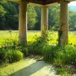 Within the Blue Sulphur Spring