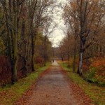 Rail trail at Glen Dale