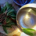 WV Ramps Alex Coffman