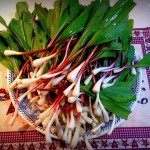 Cleaned ramps in Bowl