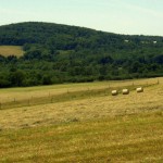 Hay bales in a Preston County pasture