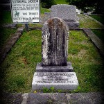 Grave of Julia Neale Jackson