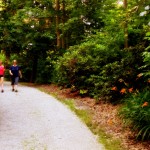 Walking the Carriage Trail