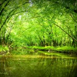 Fourpole Creek at Huntington