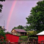 Rainbow at Vu-ja-de Vineyard