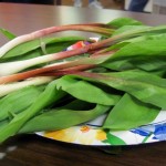 WV Ramps Julie McGivern Vincent