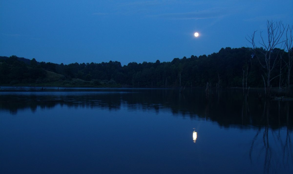 Moonlight on North Bend Lake