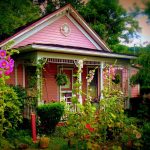 Cottage at Middelbourne