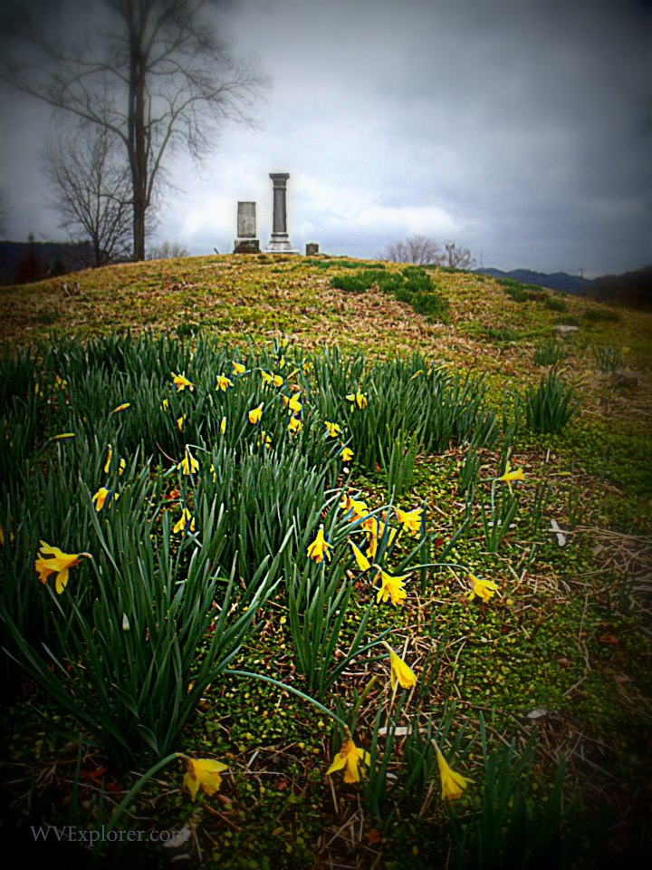 Spring flowers at East Bank