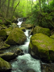 Keeneys Creek near Winona, WV, Fayette County, New River Gorge Region
