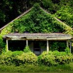 Honeysuckle House near The Jug