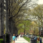 Trees blossom at Ritter Park