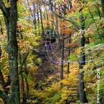 Canopy tour in autumn