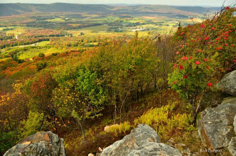 Canaan Valley Vista