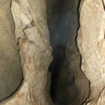 Cave Flum by Nelson