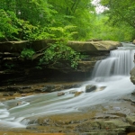 Summer at Drawdy Creek Falls