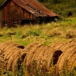 West Virginia Hay Barn