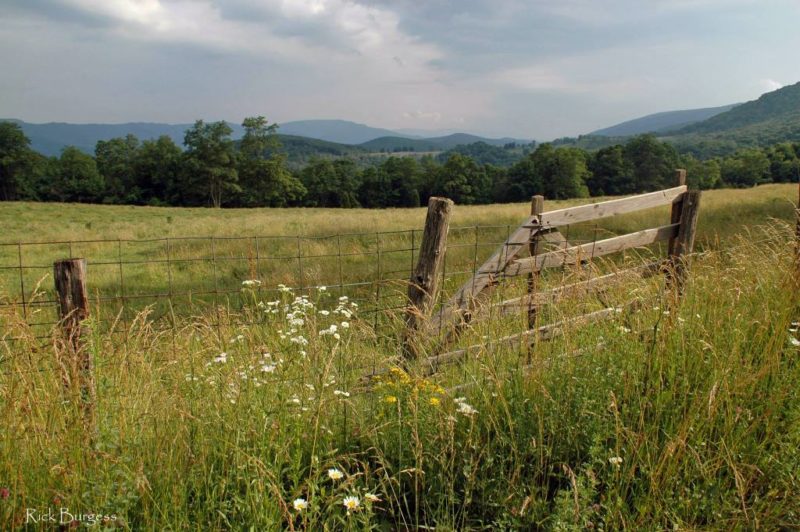 Highland Pasture