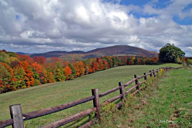 On Highland Scenic Highway