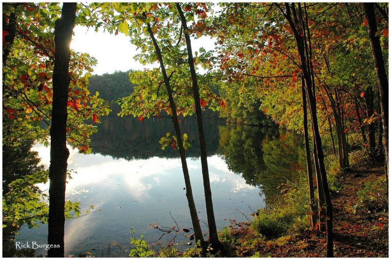 Autumn at Lake Stephens