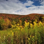 Autumn in the Alleghenies