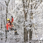 Winter wonderland in the canopy