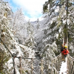Guests on canopy tour in winter
