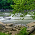 Tygart Valley River