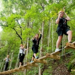 Canopy bridge at Harpers Ferry Adventure Park