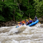 Rafters mount a wave on Gauley River