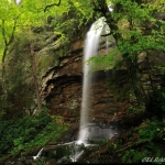 Falls on Craig Branch
