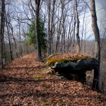 Tea Table on Dry Ridge, Morris Creek Wildlife Management Area, Kanawha County, Metro Valley Region