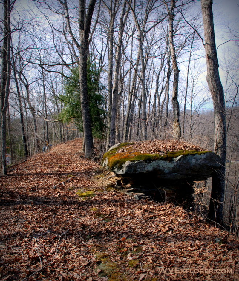 Tea Table on Dry Ridge