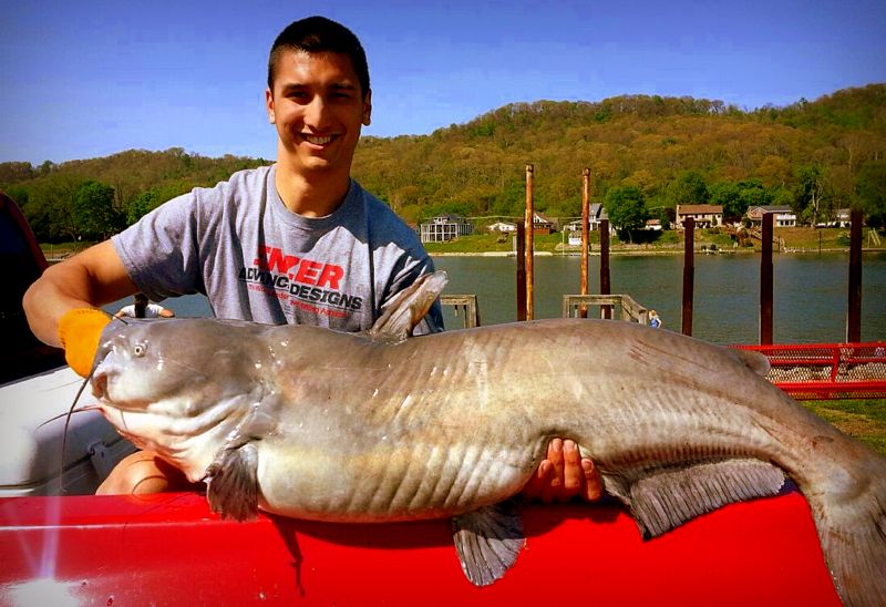 Austin Hoffman and record blue cat taken on Ohio River, 2014