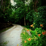Lower end of Carriage Trail